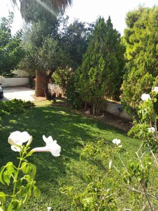 Cozy Villa Vita Lagonisi Kalivia Thorikou Extérieur photo